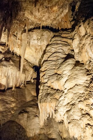 Mamoth Cave, near Margaret River WA