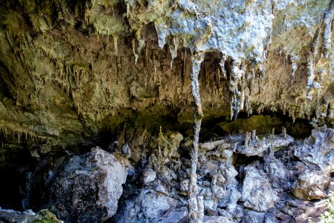 Mamoth Cave entrance, near Margaret River WA