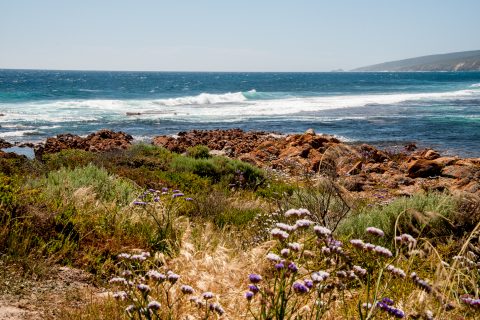 Yallingup beach, near Margaret River, WA