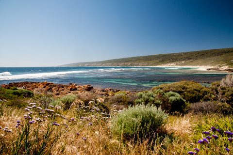 Yallingup beach, near Margaret River, WA