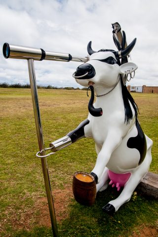 Keeping a look out,  Cape Leeuwin, WA