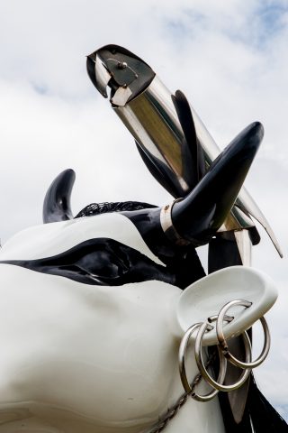 Keeping a look out,  Cape Leeuwin, WA