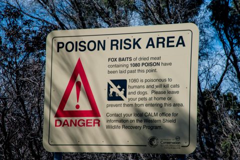 Warning sign, Pemberton, WA