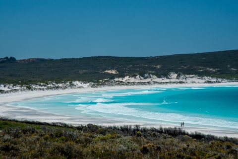 Lucky Bay, Cape Le Grand, Esperance, WA