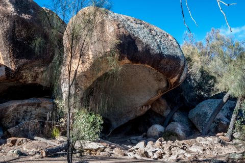 Hippo's Yawn, Wave Rock, Hyden WA