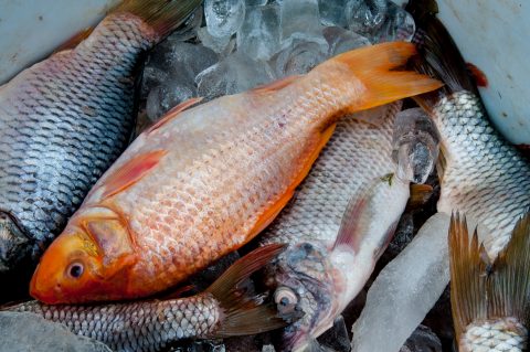 Market stall, Lanten village, Laos