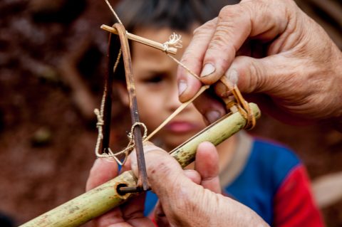 Bird lure, Akha village, Laos