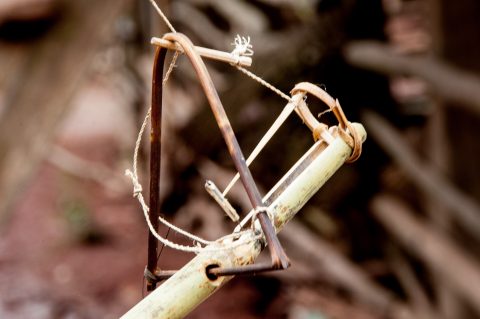 Bird lure, Akha village, Laos
