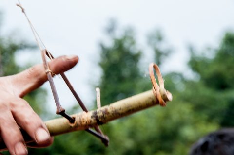 Bird lure, Akha village, Laos