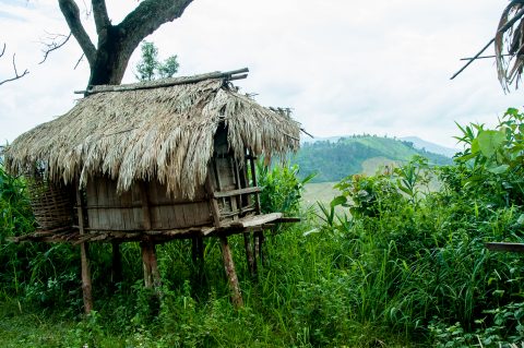 Storage hut, Akha village, Laos