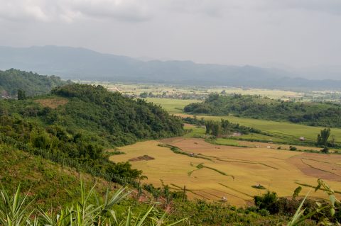 View in Nam Ha area, Laos