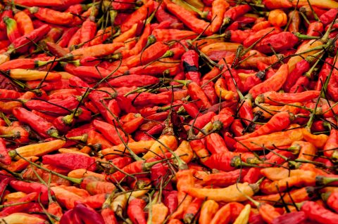 Drying chillis, Akha village, Laos