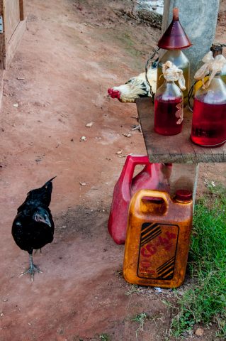 Chickens and petrol for sale,  Akha village, Laos
