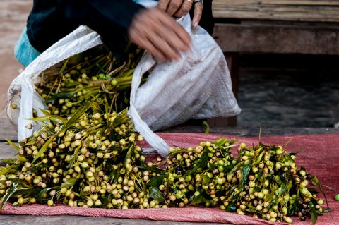 Market stall, Akha village, Laos