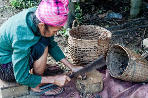 Chopping what?, Hmong village, Laos