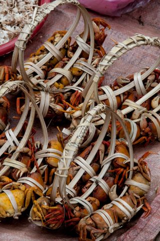 Baskets of crabs, market Luang Prabang, Laos
