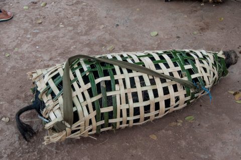 Pig in basket, market, Luang Prabang, Laos