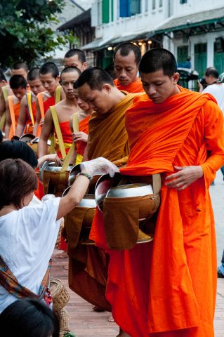 Receiving breakfast alms, Luang Prabang, Laos