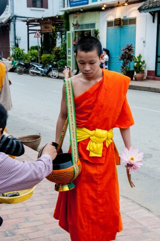 Receiving breakfast alms, Luang Prabang, Laos