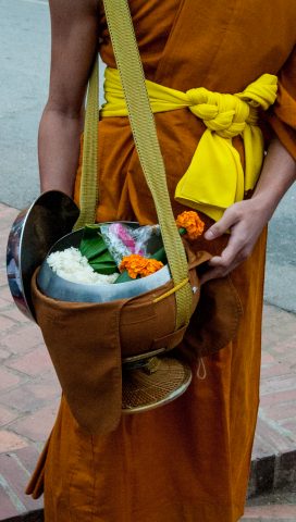 Receiving breakfast alms, Luang Prabang, Laos