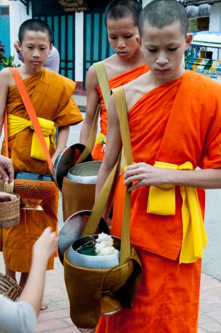 Receiving breakfast alms, Luang Prabang, Laos