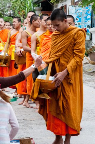 Receiving breakfast alms, Luang Prabang, Laos