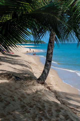 Koh Samui beach, Thailand