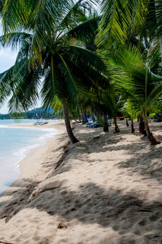 Koh Samui beach, Thailand