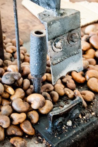 Cashew nut  factory near Chiang Mai, Thailand