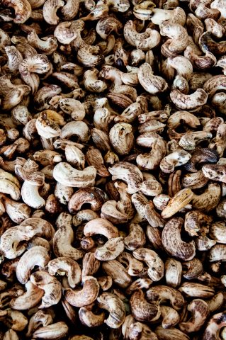 Cashew nut  factory near Chiang Mai, Thailand