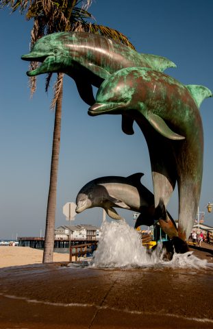 Dolphins, Santa Barbara waterfront, California