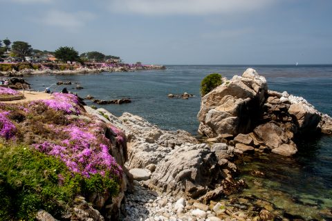 Perkins Park, Monterey, California