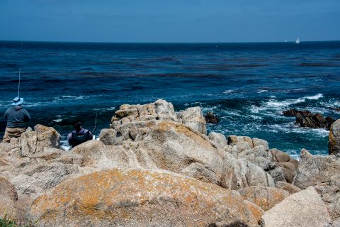 Pacific Grove, Monterey, California