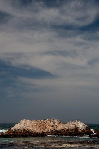 Bird Rock,, near Monterey, California
