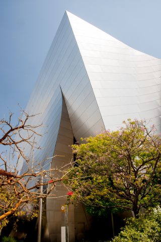 Roof garden, Walt Disney Concert Hall by F Gehry, Los Angeles, C