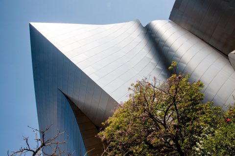 Roof garden, Walt Disney Concert Hall by F Gehry, Los Angeles, C
