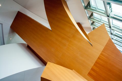 Walt Disney Concert Hall by F Gehry, Los Angeles, CA