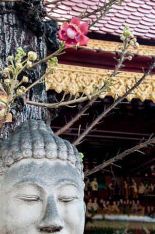 Royal Palace, Phnom Penh