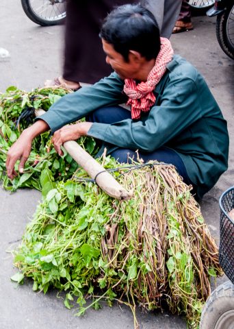 Market, Phnom Penh