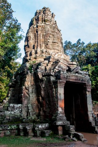 Ta Prohm temple, Angkor Wat