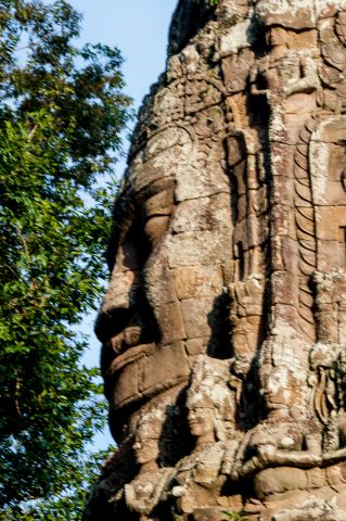 Ta Prohm temple, Angkor Wat