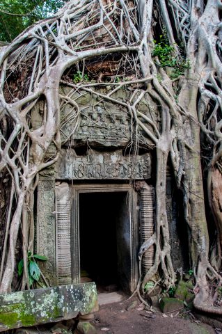 Ta Prohm temple, Angkor Wat
