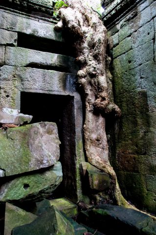 Preah khan, Angkor Wat