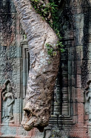 Preah khan, Angkor Wat