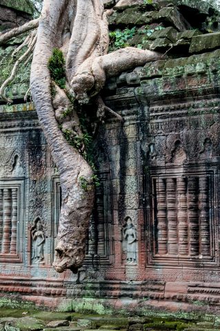Preah khan, Angkor Wat