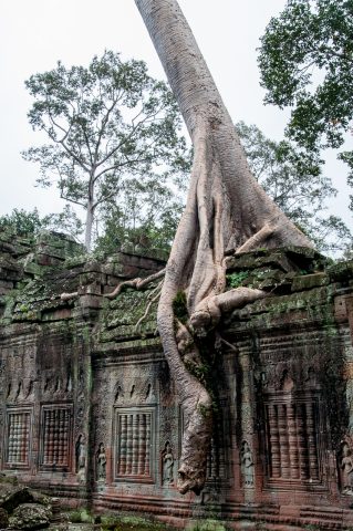 Preah khan, Angkor Wat