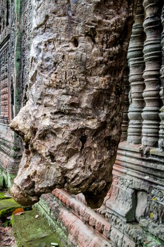 Preah khan, Angkor Wat