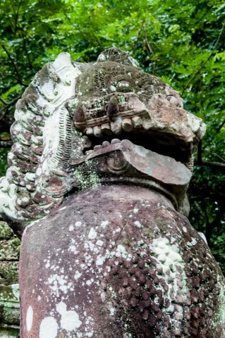 Preah khan, Angkor Wat