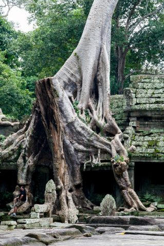 Preah khan, Angkor Wat