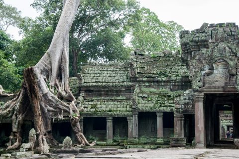 Preah khan, Angkor Wat